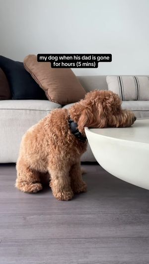 Video post by @tedflixnchill on TikTok