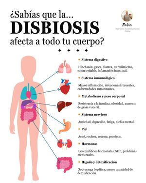 Image post by @ruben_nutricionyentrenamiento on Instagram