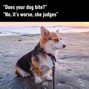 Image post by @9gag on Instagram