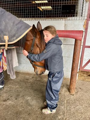 Image post by @nzhorseambulancetrust on Facebook