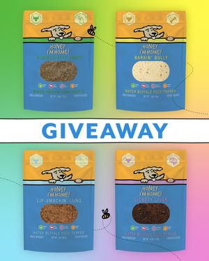 Image post by @honeyimhome on Instagram