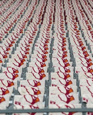 Image post by @AZCardinals on Twitter