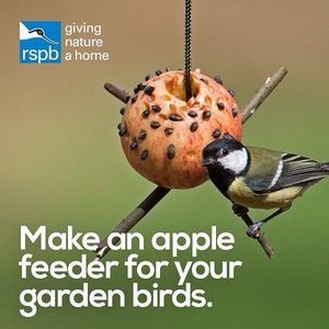 Image post by @rspb on Instagram