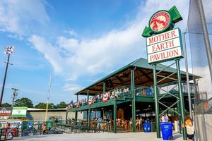 Image post by @GoWoodDucks on Twitter