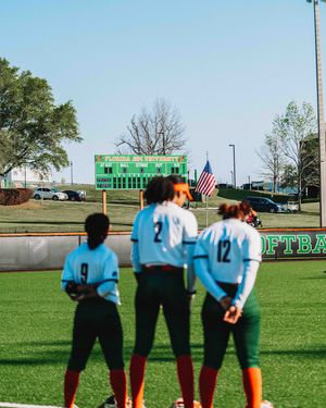 Image post by @famu_softball on Instagram