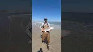 Video post by @daltonmauldin5 on YouTube