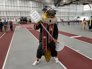 Image post by @goldythegopher on Instagram