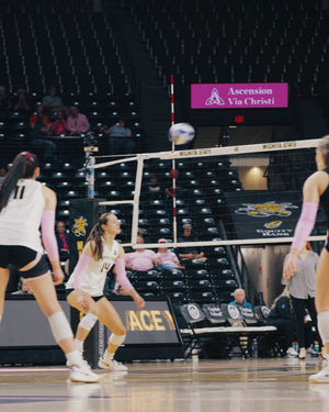 Image post by @goshockersvb on Instagram