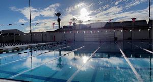 Image post by @nmstateswimdive on Instagram
