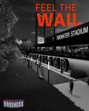 Image post by @wer_banshees on Instagram