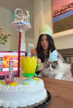 Video post by @lyssielooloo on TikTok