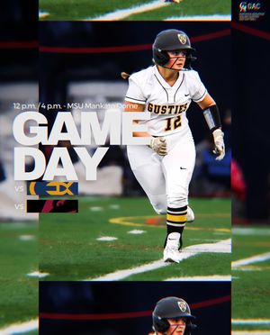 Image post by @gustiesoftball on Instagram