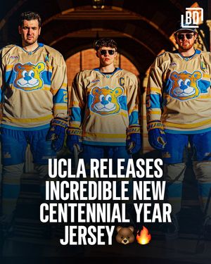 Image post by @bardown on Instagram