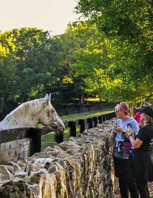 Image post by @coolmoreamerica on Instagram