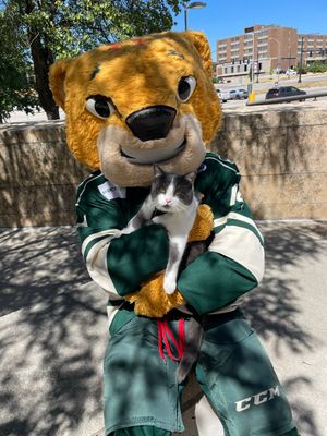 Image post by @IAWild on Twitter