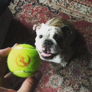 Image post by @usta on Instagram
