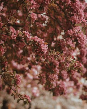 Image post by @kate.simple.life on Instagram