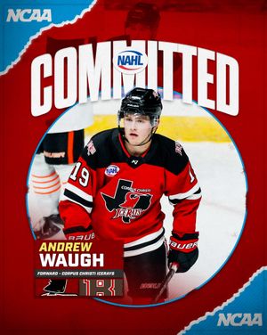 Image post by @nahlhockey on Instagram
