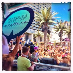 Image post by @marqueelv on Instagram