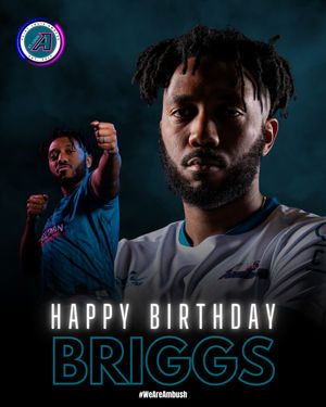 Image post by @stlouisambush on Instagram
