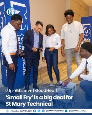 Image post by @jamaicagleaner on Instagram