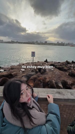 Video post by @ohayolily on TikTok