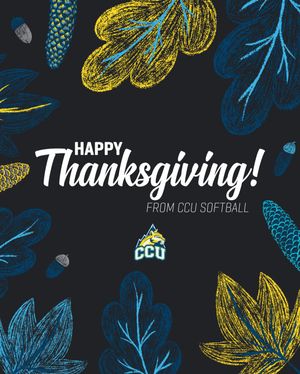 Image post by @ccusoftball on Instagram