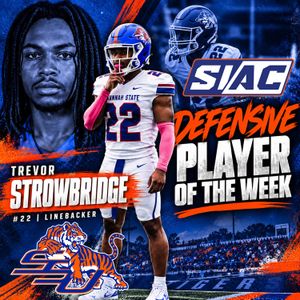 Image post by @savstatetigers on Instagram