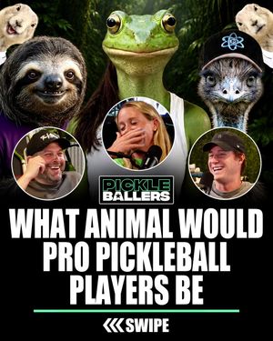 Video post by @thekitchenpickleball on TikTok
