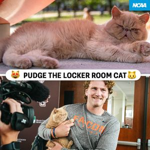 Image post by @ncaa on Instagram