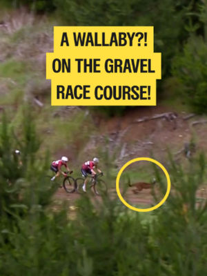 Video post by @sbssportau on TikTok