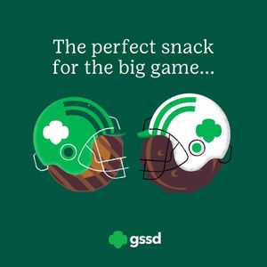 Image post by @sdgirlscouts on Instagram