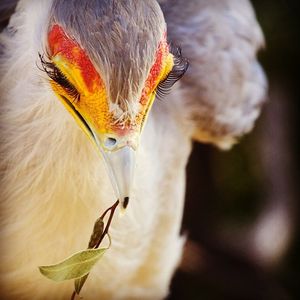 Image post by @sandiegozoo on Instagram