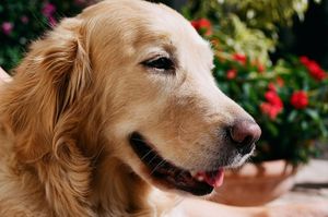 Image post by @madebyjazzy on Instagram