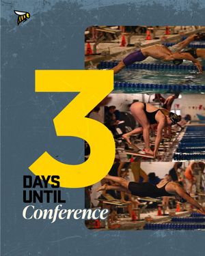 Image post by @scadswimming on Instagram