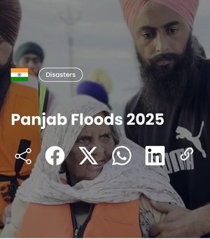 Image post by @bhangralicious on Instagram