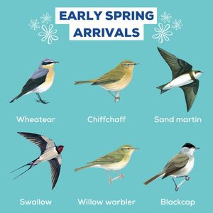 Image post by @rspb on Instagram