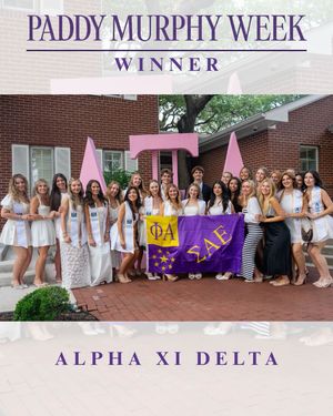 Image post by @txstsae on Instagram