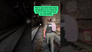 Video post by @laopinionla on YouTube