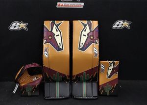 Image post by @goaliegearnerd on Instagram