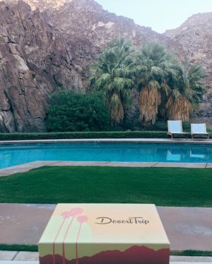 Image post by @deniseaustin on Instagram