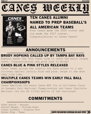 Image post by @thecanesbb on Instagram