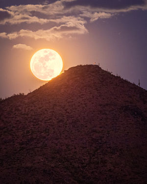 Image post by @abc15arizona on Instagram