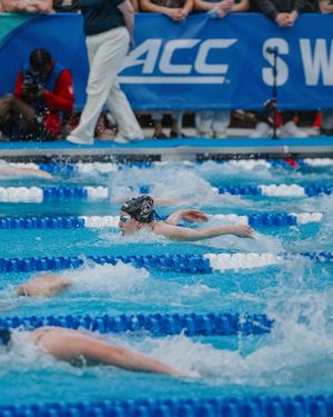 Image post by @packswimdive on Instagram