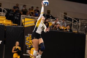 Image post by @ksuowlsvb on Instagram