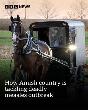 Image post by @bbcnews on Instagram