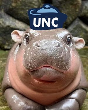 Image post by @GoHeels on Twitter/X