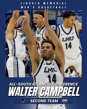 Image post by @lmurailsplitters on Instagram