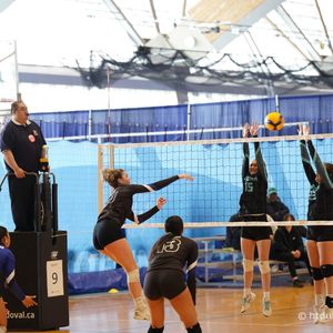 Image post by @volleyballbc on Instagram