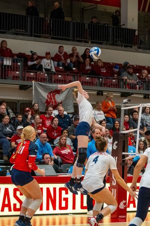 Image post by @DaytonVB on Twitter